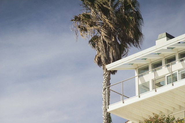 Casa en la playa y palmera